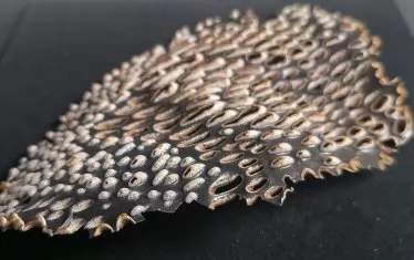  Изабела Вирва, Полша, "Биофилик".