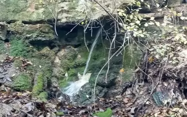 Една от струите излиза от скала и потича в дерето.
