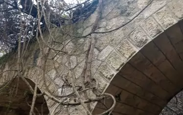 Като лиани върху фасадата.