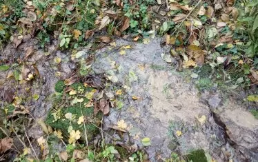 Водичката се събира и тече надолу.