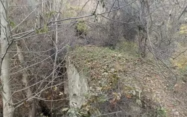 Над съоръжението природата е нахвърляла няколко пласта - прилича на горска пътека.