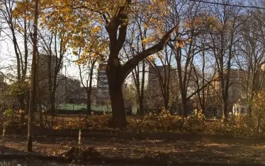 Такова все още е положението в градинка на ул. "Одрин" в район "Възраждане".