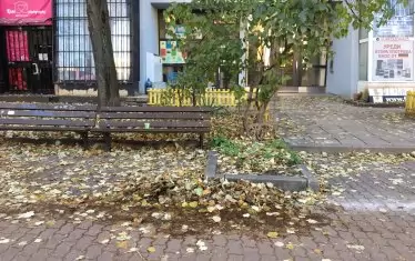 Неизметени листа вече загниват на централна столична улица.