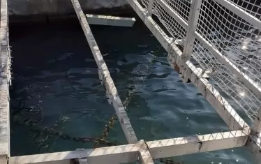 Доста от елементите на пристанището липсват.