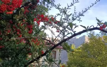 Кемалие през деня. 