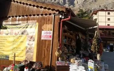  Скали и дърво. Кемалие е като сувенир. 