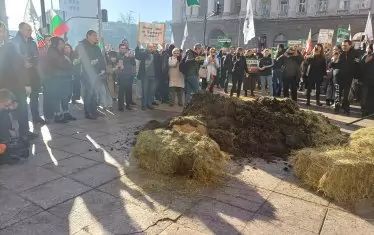 Сено и оборски тор донесоха пред КС от "Възраждане".