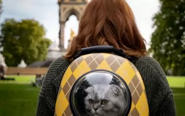  ... А може би и котката на режисьора Матю Вон, старателно прибрана в раница с прозорче.