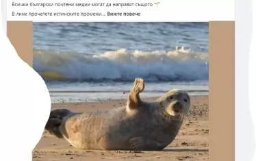 Депутатка от ПП брани с тюлени плажните промени 