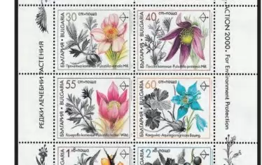 Маглена Константинова е известна и с филателните си творби.