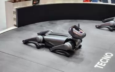 Около щандовете в  изложбените зали можеха да се видят всевъзможни кучета роботи, хуманоидни машини, способни да си говорят с посетителите, роботизирани градински косачи, на които можеш да си пуснеш видеоигра и дори автономни летящи автомобили