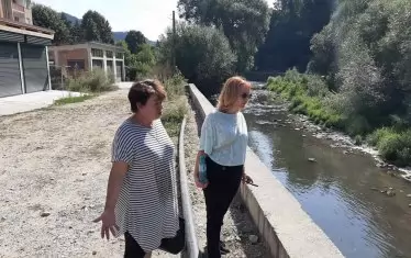 Всепризнат виновник за мор на риба се оказа ненаказан