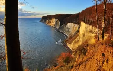 Националният парк KÖNIGSSTUHL, световно наследство. 