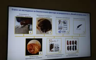 На откриването бе показана презентазия на древен бръмбар, непроучен досега и с неустановено ДНК.