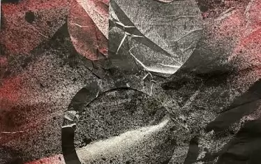  Докосването между черно и бяло създава безброй нюанси.