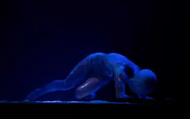  Saline Nebula на Станислав Генадиев и Виолета Витанова.