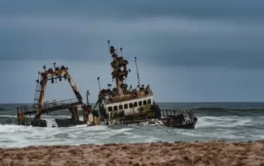  Брегът на скелетите 