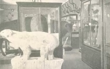 Залата с бозайници в Царския естествено-исторически музей.