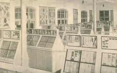 Залата със сбирки от насекоми в Царския естествено-исторически музей.