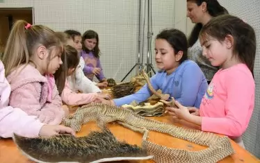 Особено любопитни за децата са макетите на динозаври.