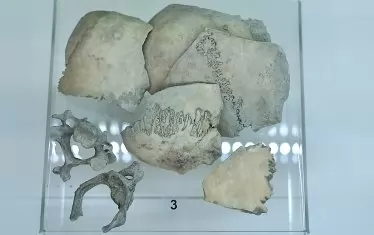  Артефакти от кост и метал.