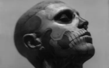  "Незаличима маска", 2011.