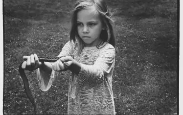 Минесота, 2011-18