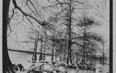 Мисисипи, 2011-18