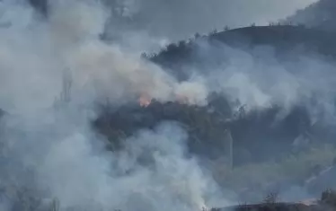  Горят стотици декари борова гора.