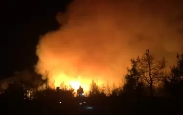 Пожари помляха къщи, стърнища и гора