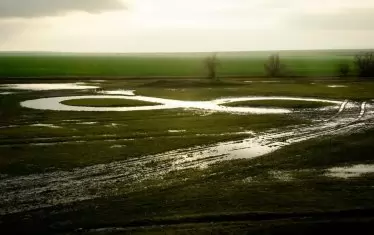 Кадър от изложбата