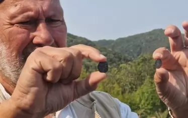  Научният консултант проф. Николай Овчаров показва намерените монети от Второто българско царство.