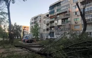Колкото и да пече - безмилостно се сече