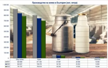 Над 6000 тона сирене менте са произведени тази година у нас