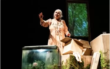  Героинята разказва случки от детството си в очакване на интервюто.