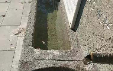 Коритата преливат едно в друго.