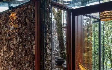 Стволът на дървото преминава хоризонтално през къщата