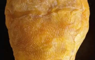  Проф. Петер Цанев, "Ектопластикон", миниатюрна инсталация от пчелен восък.