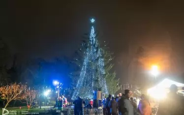 Добрич чака Дядо Коледа с елха за 29 000 лв.