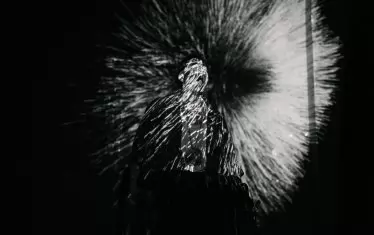  Един от сънищата на Иля (мултимедия - Теодор Киряков).