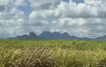 Захарна тръстика и угаснали вулкани. 