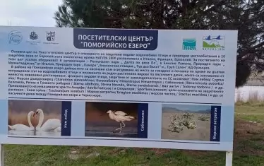 Община Поморие вкара Бразилия в ЕС