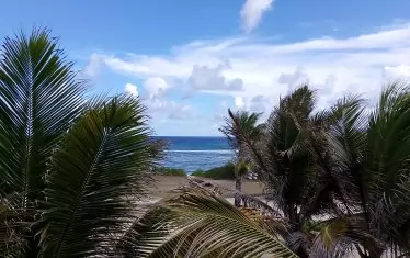 Гледка от прозореца. 