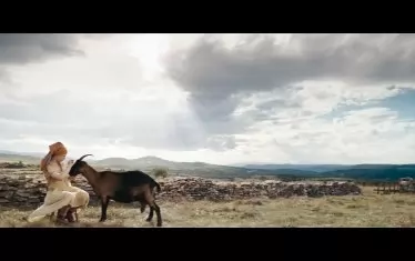 "Звяр и природа" играят централна роля в "Стадото".