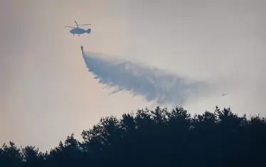 2600 огнеборци и войници се борят с пожари в Южна Корея
