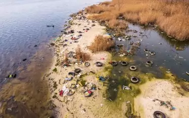  ... и какво ли още не на брега на Варненското езеро