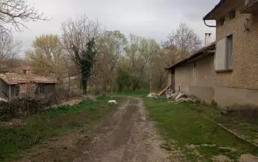 Селска "улица".