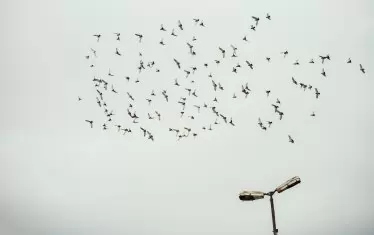 Концепцията за свобода...