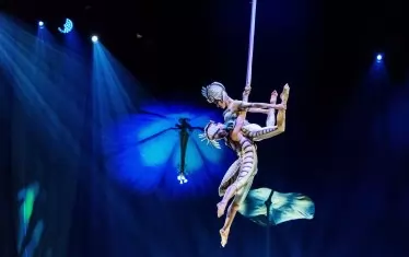  "Пчеличките" и "мушиките" не са това, което бяха...