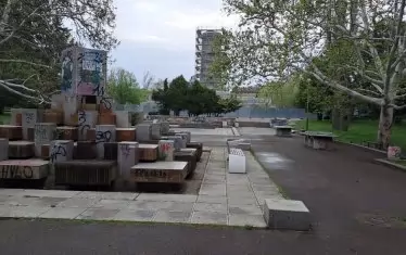  Градината изглежда занемарена от всички гледни точки. 